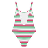 Abrosexual Flag One-Piece Swimsuit