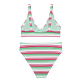 Abrosexual Flag High-Waisted Bikini