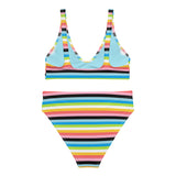 Queer Flag High-Waisted Bikini