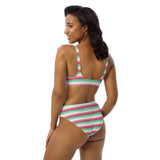 Abrosexual Flag High-Waisted Bikini