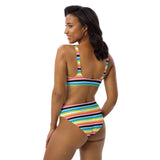 Queer Flag High-Waisted Bikini