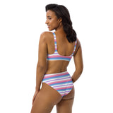 Bigender Flag High-Waisted Bikini