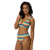 Queer Flag High-Waisted Bikini