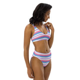 Bigender Flag High-Waisted Bikini