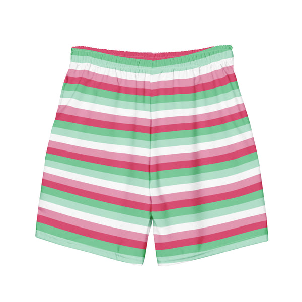 Abrosexual Flag Swim Trunks