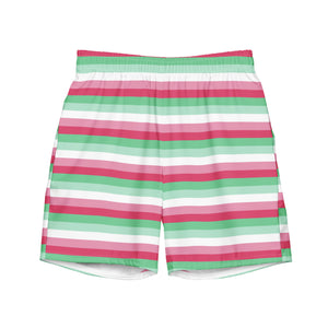 Abrosexual Flag Swim Trunks