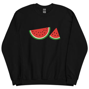 WATERMELON sweatshirt