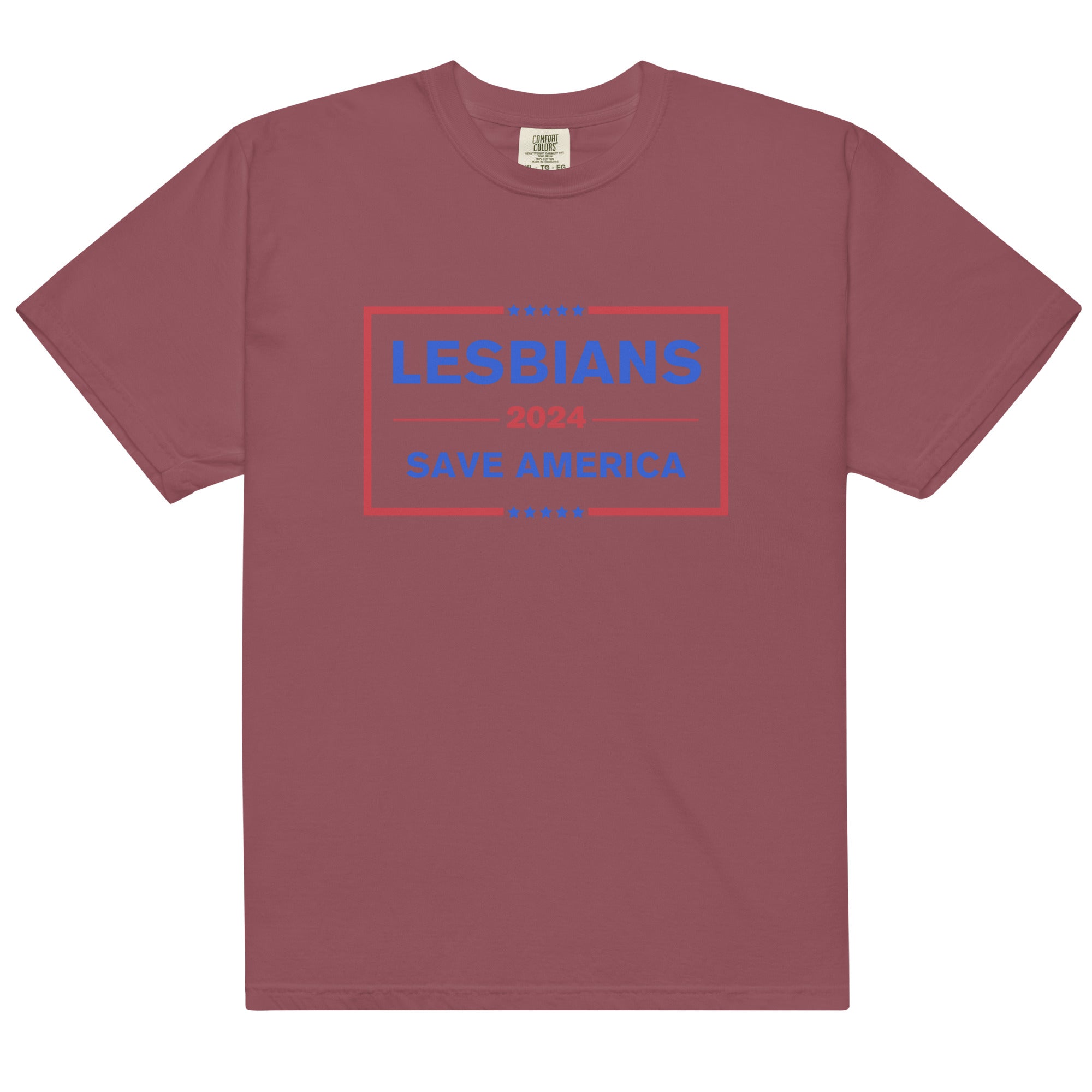 Lesbians Save America T-Shirt