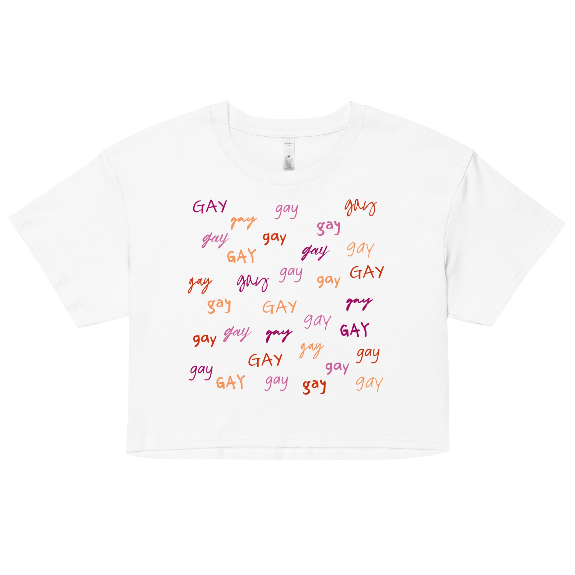 Say Gay Lesbian Colors Crop Top