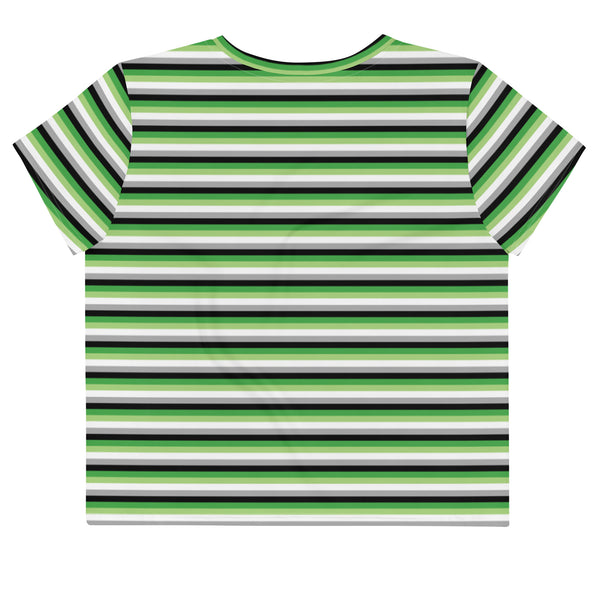 Aromantic Flag Crop Tee