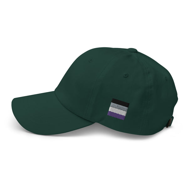 Asexual Flag Baseball hat